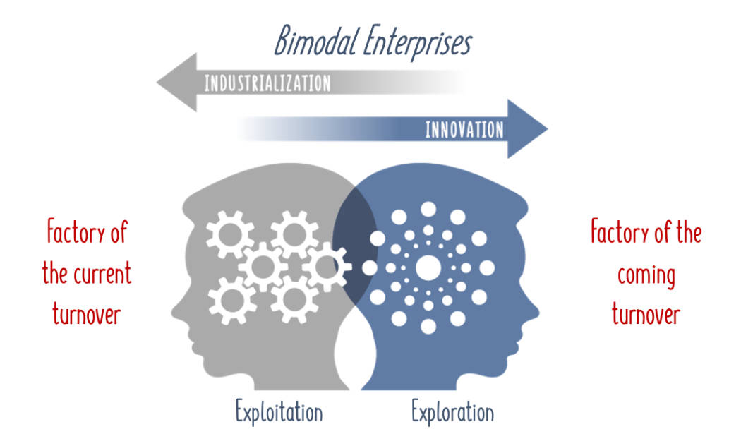 Bimodal-Enterprise-1